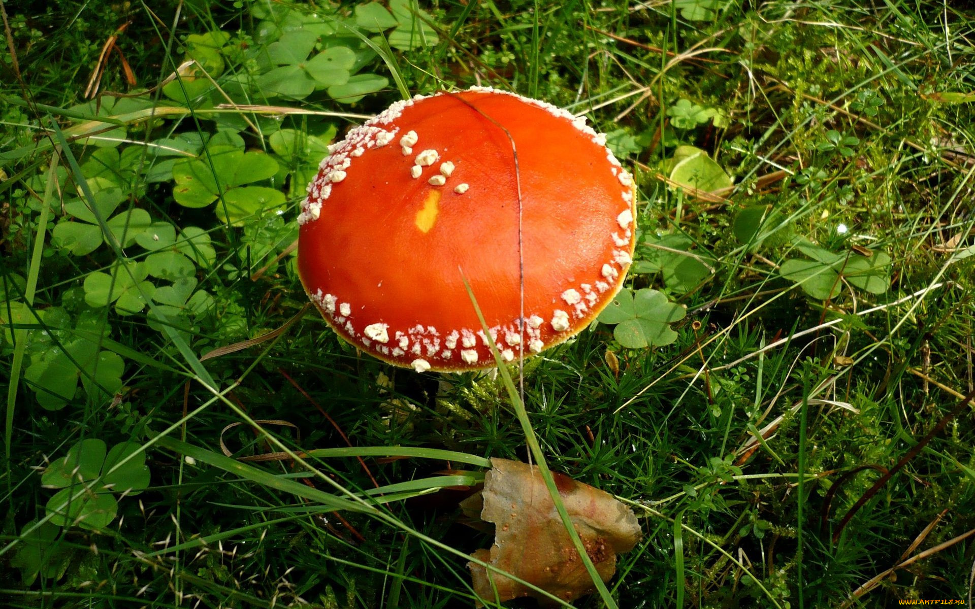 , , , , 